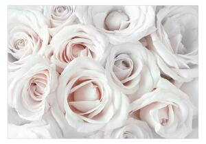 Fototapeta - Saténová růže (růžová) + zdarma lepidlo - 200x140