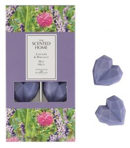 Ashleigh & Burwood Vonný vosk do aromalampy LAVENDER & BERGAMOT 8 ks