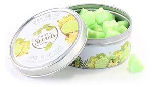 Ashleigh & Burwood Vonný vosk v krabičce LIME BLOSSOM 50 ks