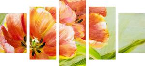 5-dílný obraz červené tulipány ve vintage provedení
