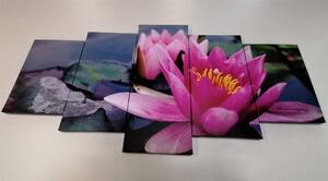 5-dílný obraz růžový lotosový květ
