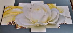 5-dílný obraz luxusní růže s abstrakcí
