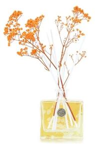 Ashleigh & Burwood Difuzér LIFE IN BLOOM - ORANGE BLOSSOM & MANDARIN 150 ml