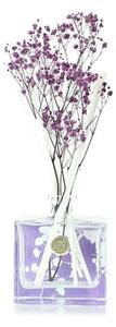 Ashleigh & Burwood Difuzér LIFE IN BLOOM - PLUM BLOSSOM & POMEGRANATE 150 ml