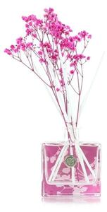 Ashleigh & Burwood Difuzér LIFE IN BLOOM - LOTUS FLOWER & WATERMELON 150 ml