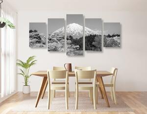 5-dílný obraz hora Fuji v černobílém provedení