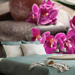 Fototapeta nádherná orchidej a Zen kameny