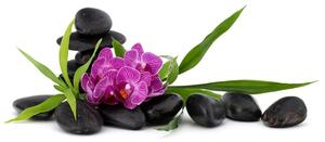 Tapeta fialová orchidej v Zen zátiší