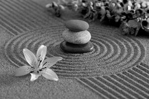 Fototapeta černobílá Zen zahrada