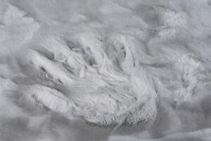 TAPISO Chlupatý kobereček ve tvaru medvídka - 60x90 cm - světle šedý
