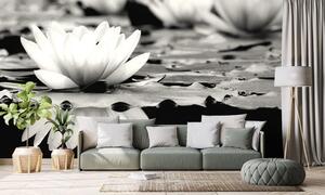 Fototapeta černobílý lotosový květ