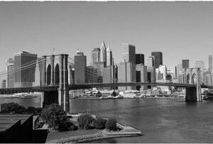 Fototapeta - Manhattan v šedé barvě + zdarma lepidlo - 375x250