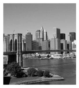 Fototapeta - Manhattan v šedé barvě + zdarma lepidlo - 225x250