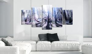 Obraz tajemný les na akrylátovém skle - Autumnal Glade - 200x100