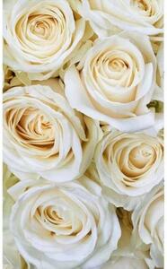 Fototapeta - Bílé růže + zdarma lepidlo - 150x250