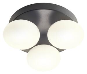 Redo Nástěnné/stropní LED svítidlo OVUM, 15W, ø 24 cm, CCT 3000-4000K, IP44 Barva světla: Černá