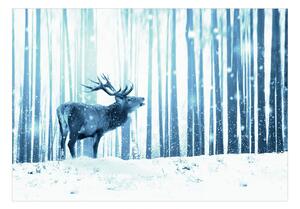 Fototapeta - Jelen na sněhu (modrá) + zdarma lepidlo - 200x140
