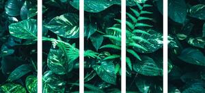 5-dílný obraz svěží tropické listy