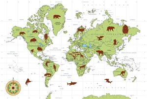 Obraz na korku mapa se zvířaty
