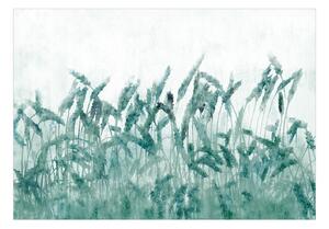 Fototapeta - Modré klasy pšenice + zdarma lepidlo - 200x140