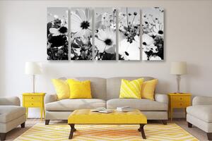 5-dílný obraz louka jarních květin v černobílém provedení