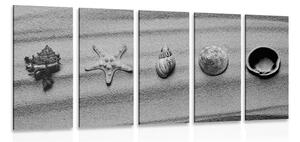 5-dílný obraz mušle na písečné pláži v černobílém provedení