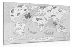 Obraz černobílá mapa světa se zvířaty