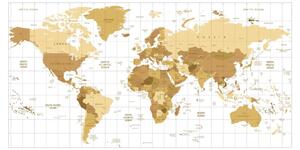 Obraz na korku béžová mapa světa na světlém pozadí - 100x50 flags