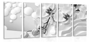 5-dílný obraz černobílá orchidej na abstraktním pozadí