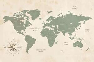 Obraz na korku decentní mapa světa
