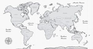 Obraz nádherná černobílá mapa světa