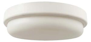 LED Koupelnové stropní svítidlo LED/24W/230V 4000K IP54 pr. 24 cm