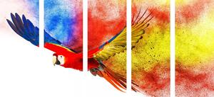 5-dílný obraz let papouška