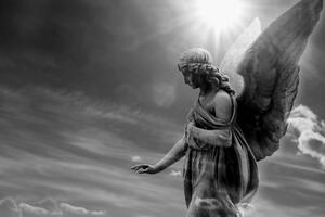 Obraz nádherný černobílý anděl na nebi
