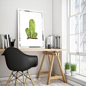Obraz Kaktus na zrcadle Mirrora 68 - 60x40 cm (Obrazy Mirrora)