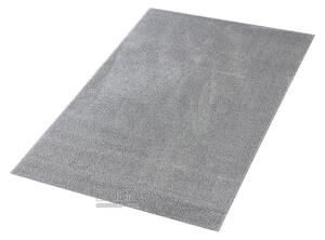 Kusový koberec DOLCE VITA 01/SSS - 67 x 110 cm