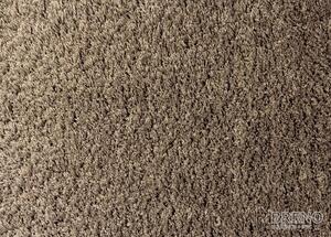 Kusový koberec DOLCE VITA 01/BBB - 67 x 110 cm
