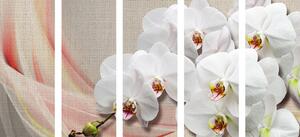 5-dílný obraz bílá orchidej na plátně