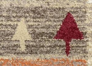 Kusový koberec SHERPA 5091/DW6D - 120 x 170 cm