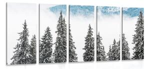 5-dílný obraz zasněžené borové stromy