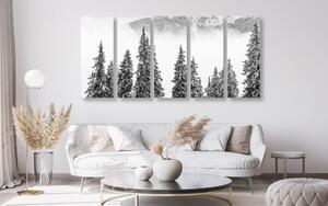 5-dílný obraz zasněžené borové stromy v černobílém provedení