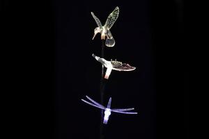 Garthen 539 Dekorativní zahradní solární LED osvětlení - motýl, kolibřík, vážka