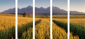 5-dílný obraz západ slunce nad pšeničným polem