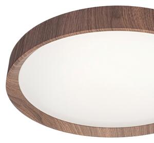 LED Stropní svítidlo FOREST LED/24W/230V pr. 39 cm hnědá
