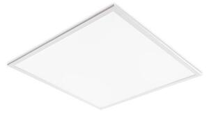 LED Podhledový panel DAVRO LED/40W/230V 4000K 59,5x59,5 cm bílá