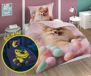 DETEXPOL Povlečení Pejsek Pomeranian svítící Bavlna, 140/200, 70/80 cm