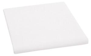 Bellatex Plátěné prostěradlo plachta Bílá rozměr 150x230 cm