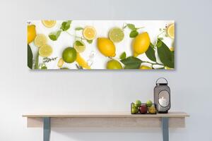 Obraz směs citrusových plodů