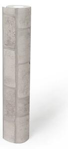 A.S. Création | Vliesová tapeta na zeď Elements 2 38812-3 | 0,53 x 10,05 m | šedá, bílá