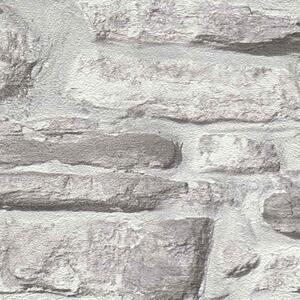 A.S. Création | Vliesová tapeta na zeď Elements 238815-2 | 0,53 x 10,05 m | šedá